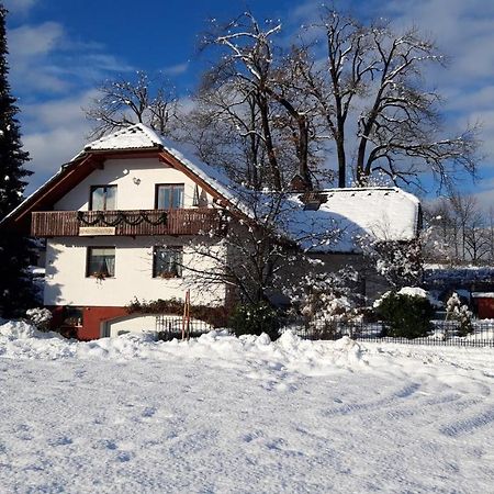 Apartma Anton بليد المظهر الخارجي الصورة