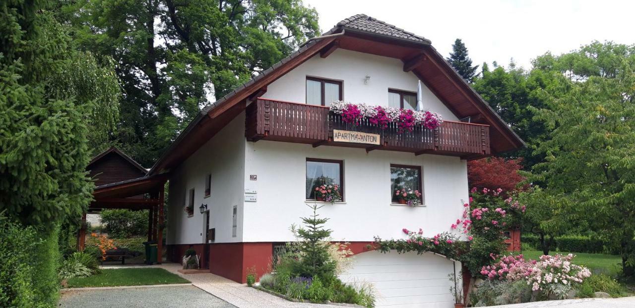 Apartma Anton بليد المظهر الخارجي الصورة